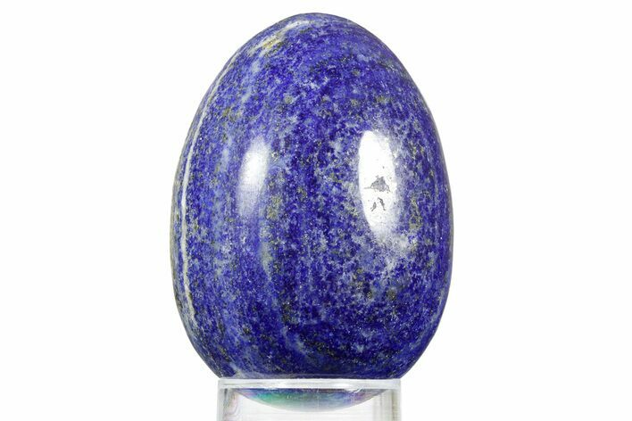 Polished Lapis Lazuli Egg - Pakistan #352498